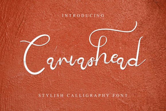 Canvashead: A Vintage Handwritten Font for Branding