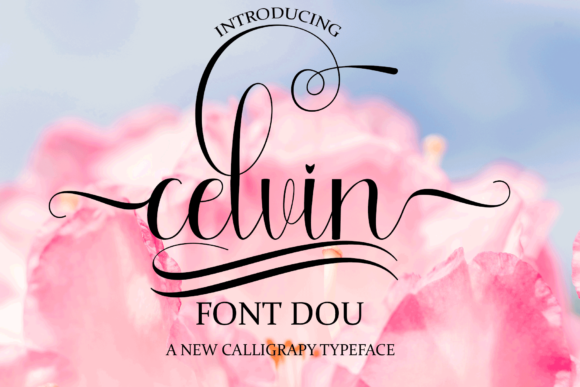 Celvin: A Premium Script Font for Editorial Design