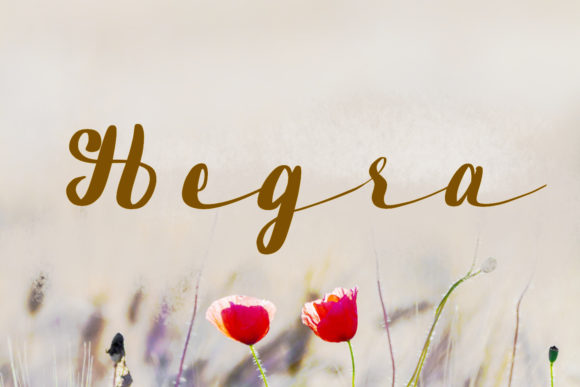 Hegra: A Handwritten Font for Modern Web Design
