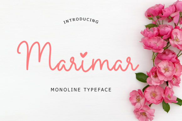 Marimar: A Playful Monoline Script Font for Editorial Design